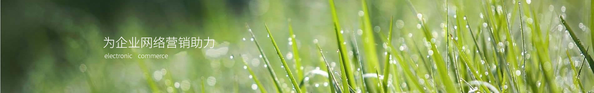 Ϸʸּİӹ